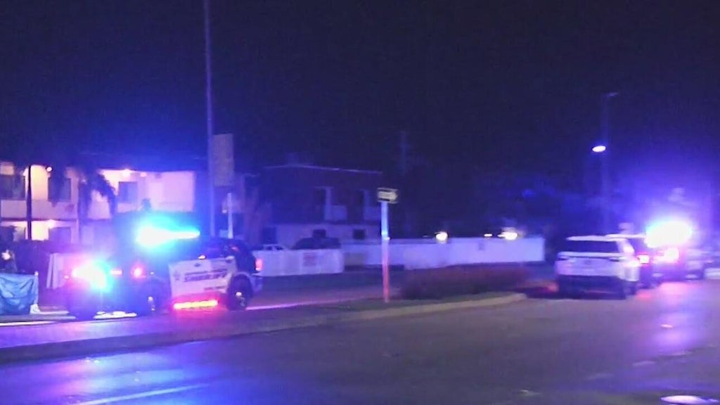 Woman accused of killing man in Dania Beach hit-and-run, BSO says — CBS Miami, Burlingame Community news