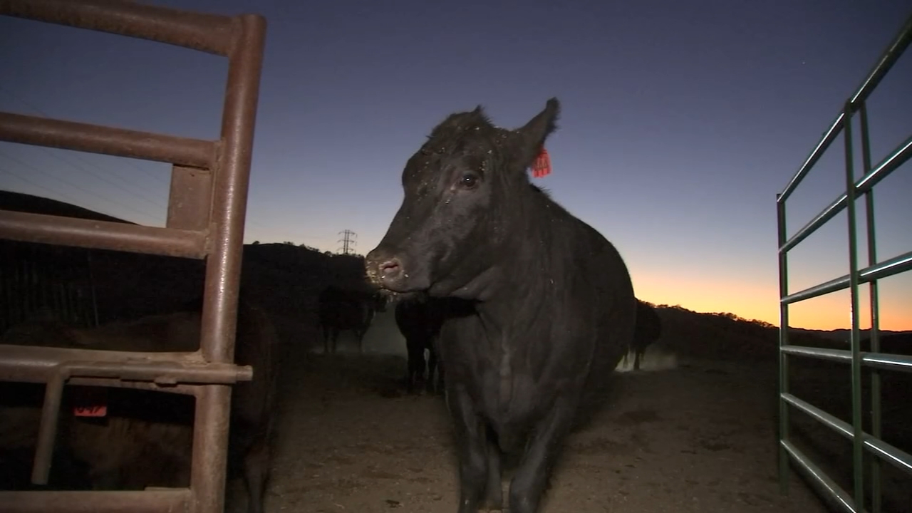 PG&E Public Safety Power Shutoffs leave Bay Area ranchers, residents frustrated
— ABC 7 Bay Area, Burlingame Community news