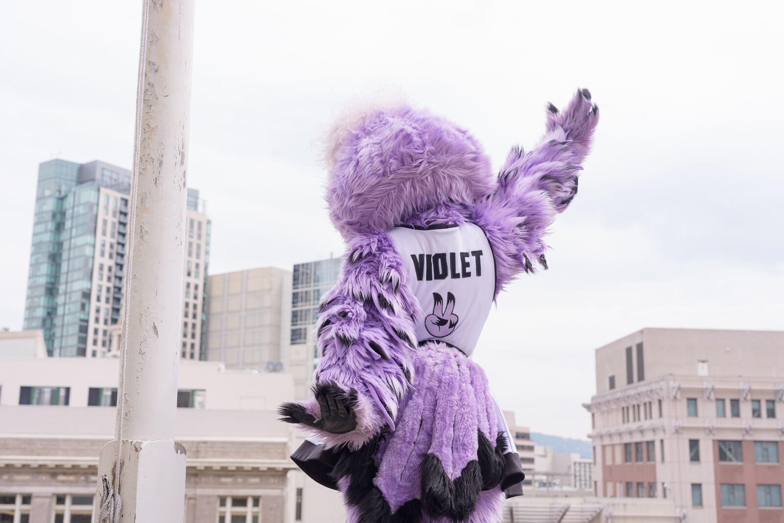 This week in Oakland: an outdoor Valkyries watch party, and singersongwriter Laura Anglade at Yoshi’s — The Oaklandside, Burlingame Arts news