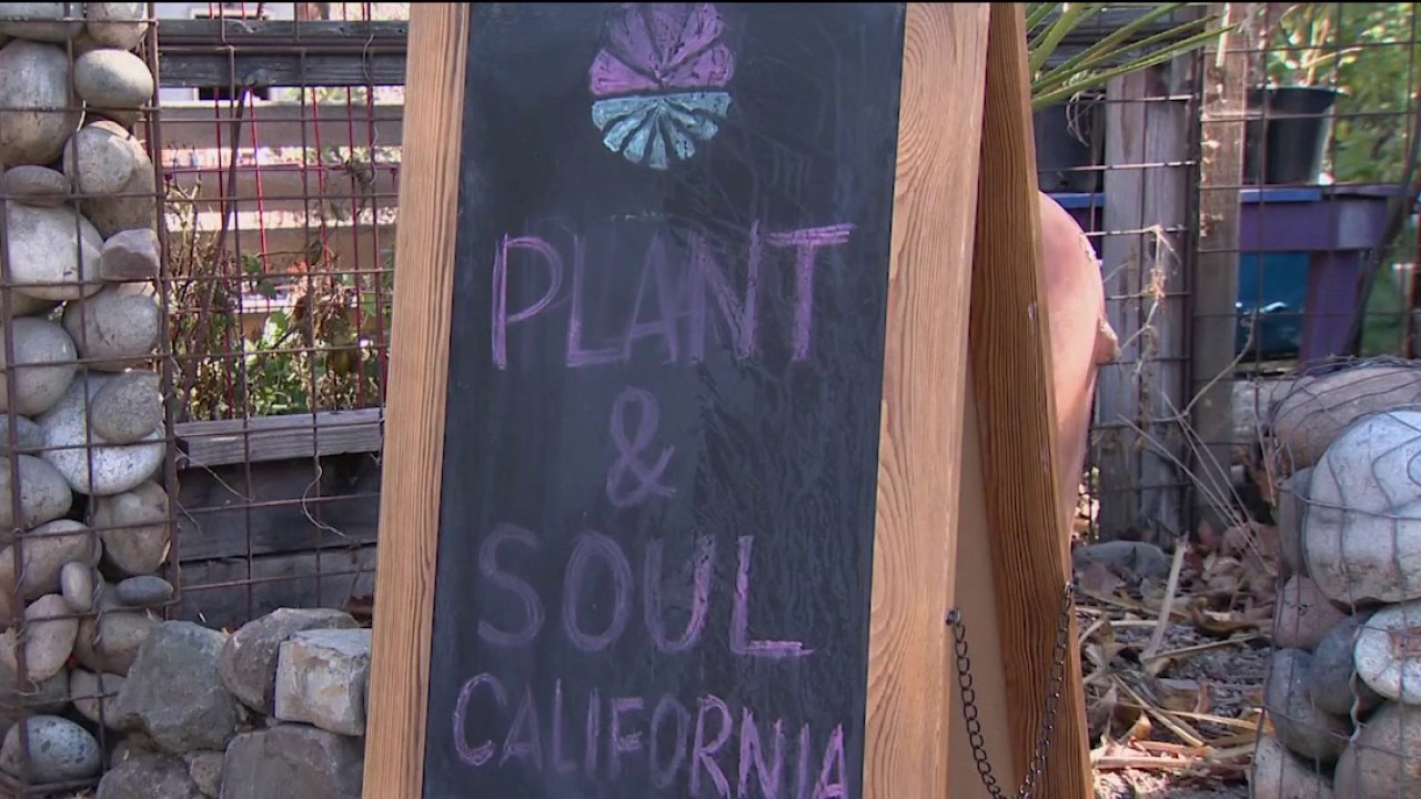 San Jose community garden faces possible eviction — KTVU FOX 2 Bay Area, Burlingame Schools news