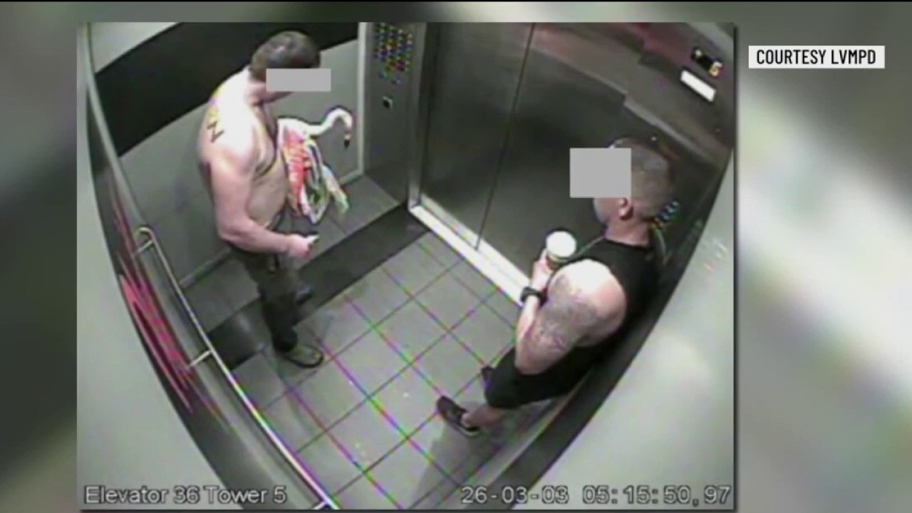 Canadian tourist found guilty of stealing, injuring flamingo  — KTVU FOX 2 Bay Area, Burlingame Community news