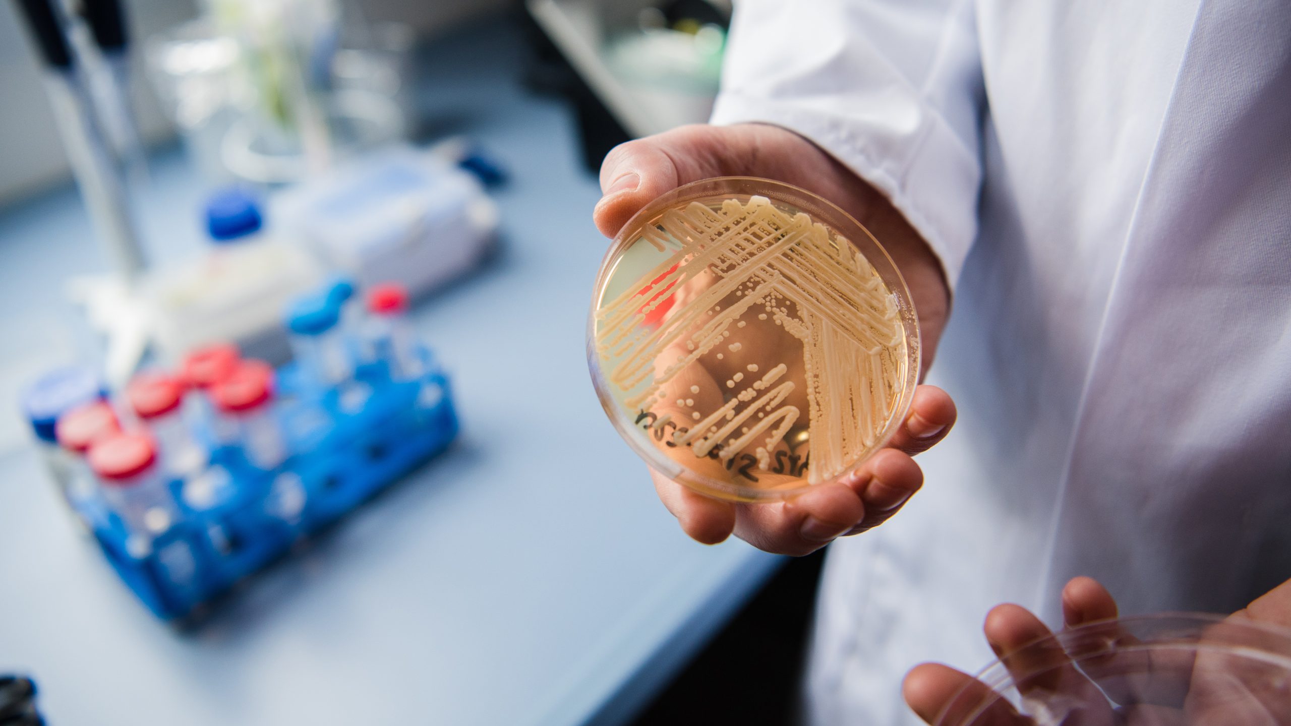 New study reveals why dangerous fungus is so difficult to treat — KTVU FOX 2 Bay Area, Burlingame Community news