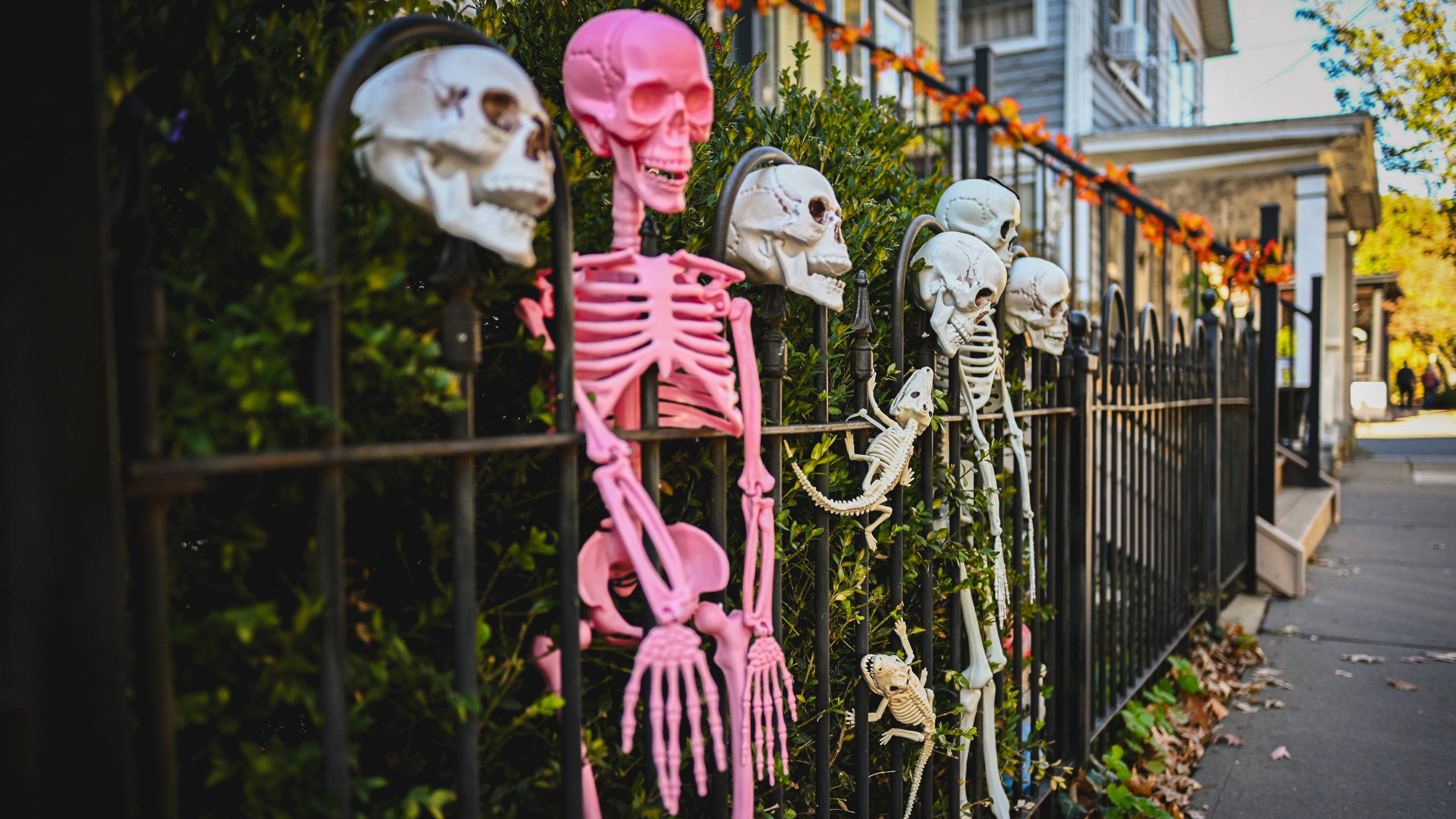 America's best cities for Halloween, ranked — KTVU FOX 2 Bay Area, Burlingame Community news